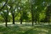 images (4)